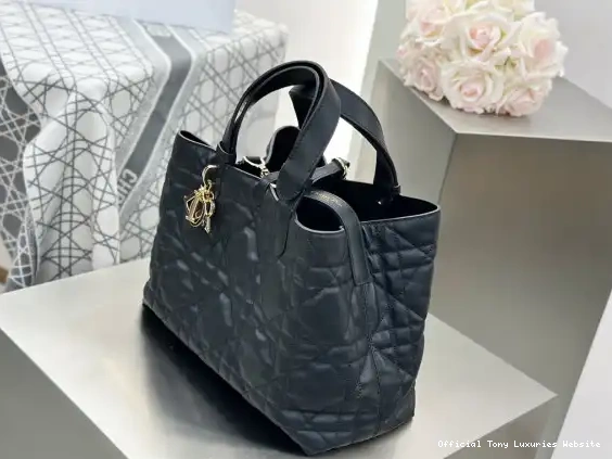 Tony Luxuries TOUJOURS MEDIUM BAG diro 0425